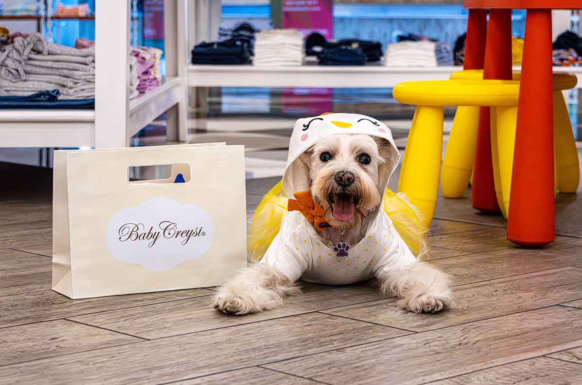 Creysi Pet: Ropa y accesorios para que tu mascota sea la más fashion