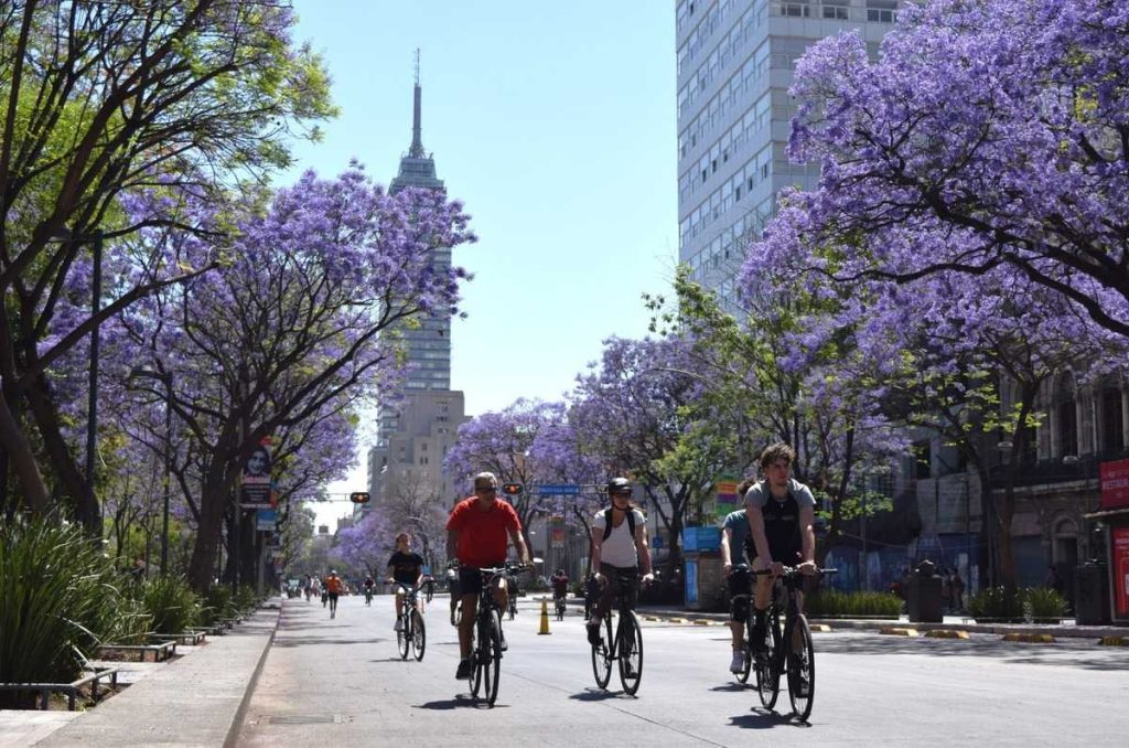 Gran rodada y rally en CDMX para celebrar el día de la bicicleta en CDMX