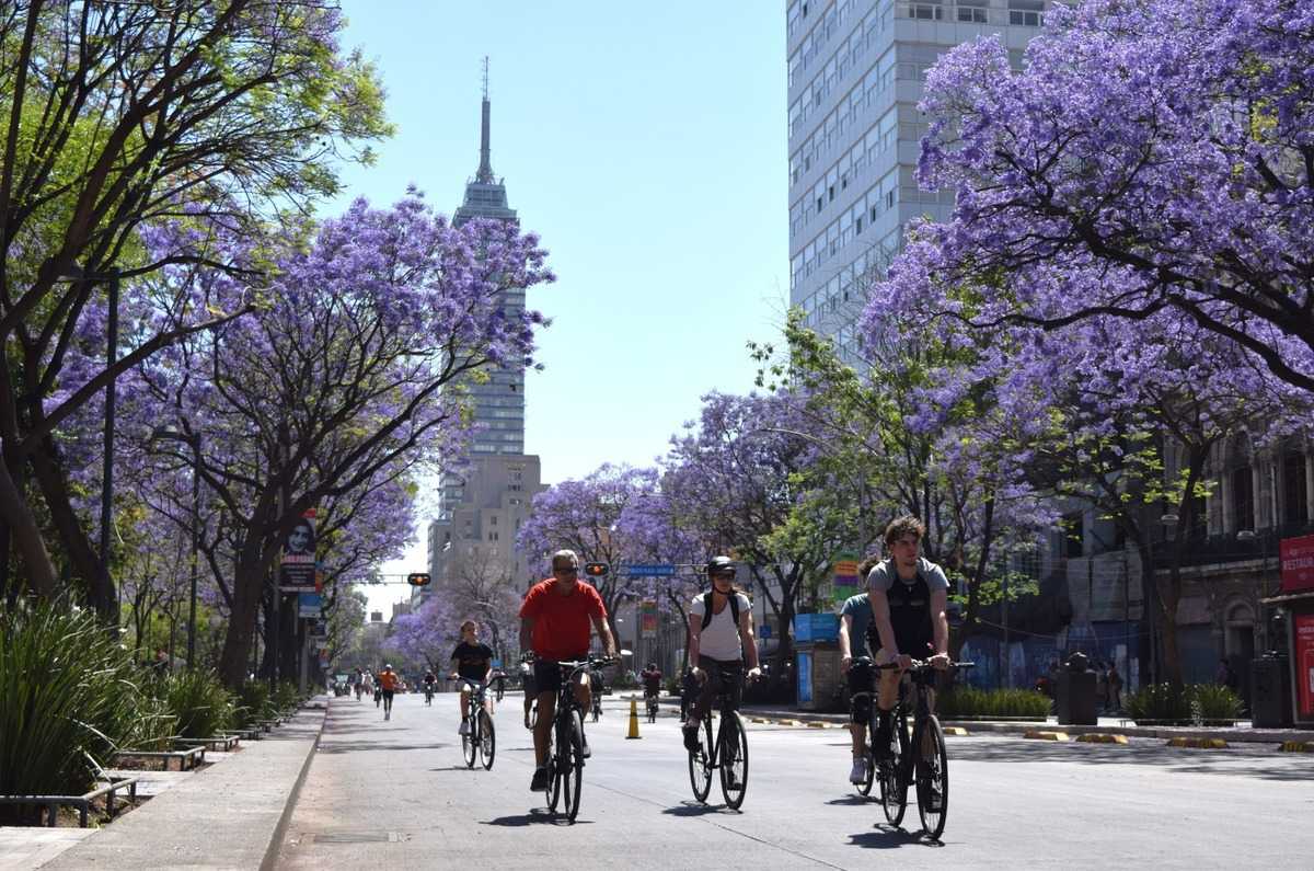 CDMX celebrará el día de la bicicleta con rally y gran rodada ¡GRATIS!
