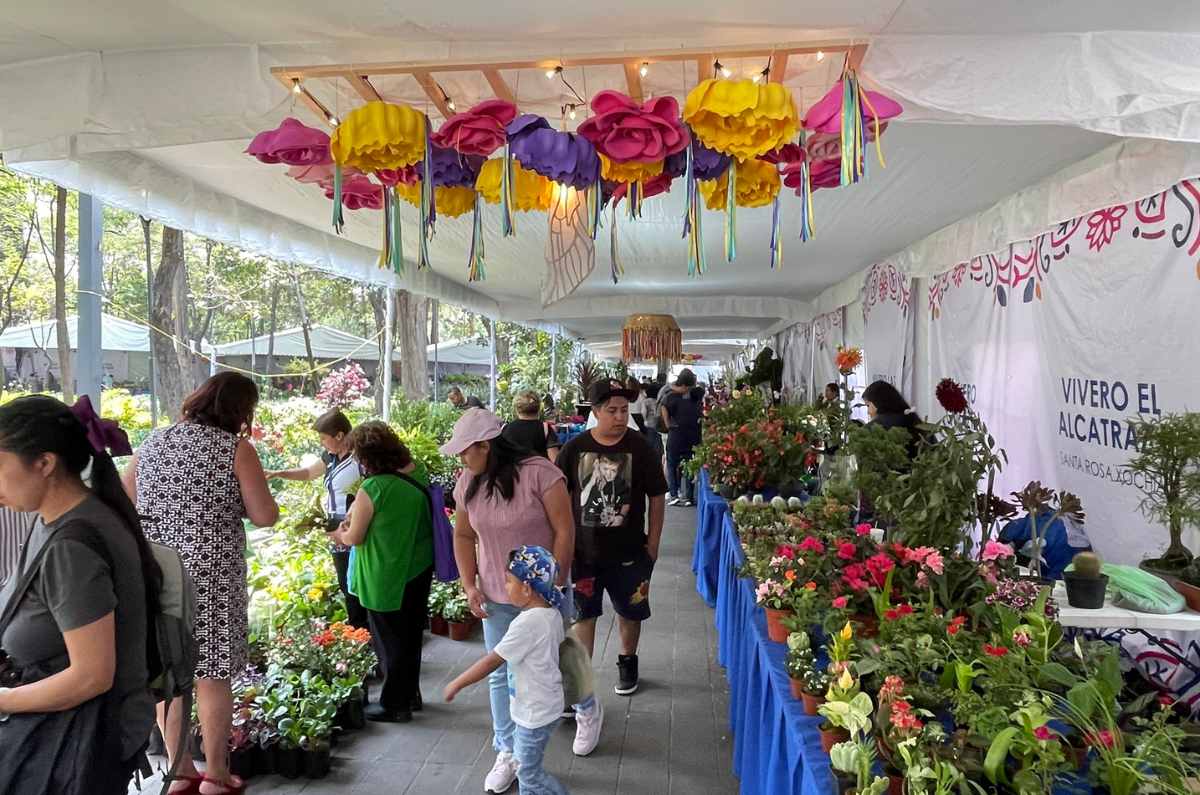 Foto: Patronato de la Feria de las Flores de San Ángel vía Facebook