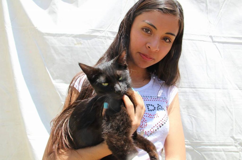 ¡Vacuna a tu mascota gratis! Jornada La Medicina Veterinaria y el Bienestar Animal en CU 1