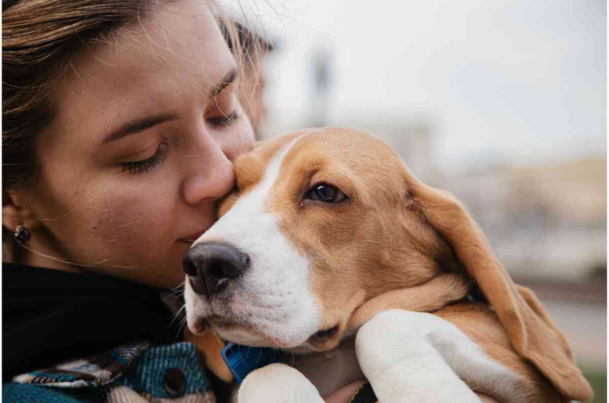 Estos son los beneficios de registrar a tu mascota en el RUAC