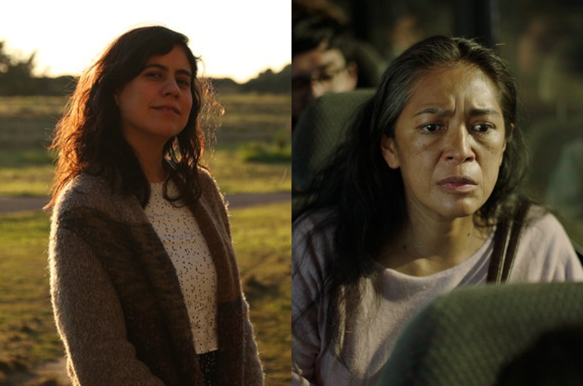 festival-de-cine-independiente-cdmx-2024-programa-y-sedes