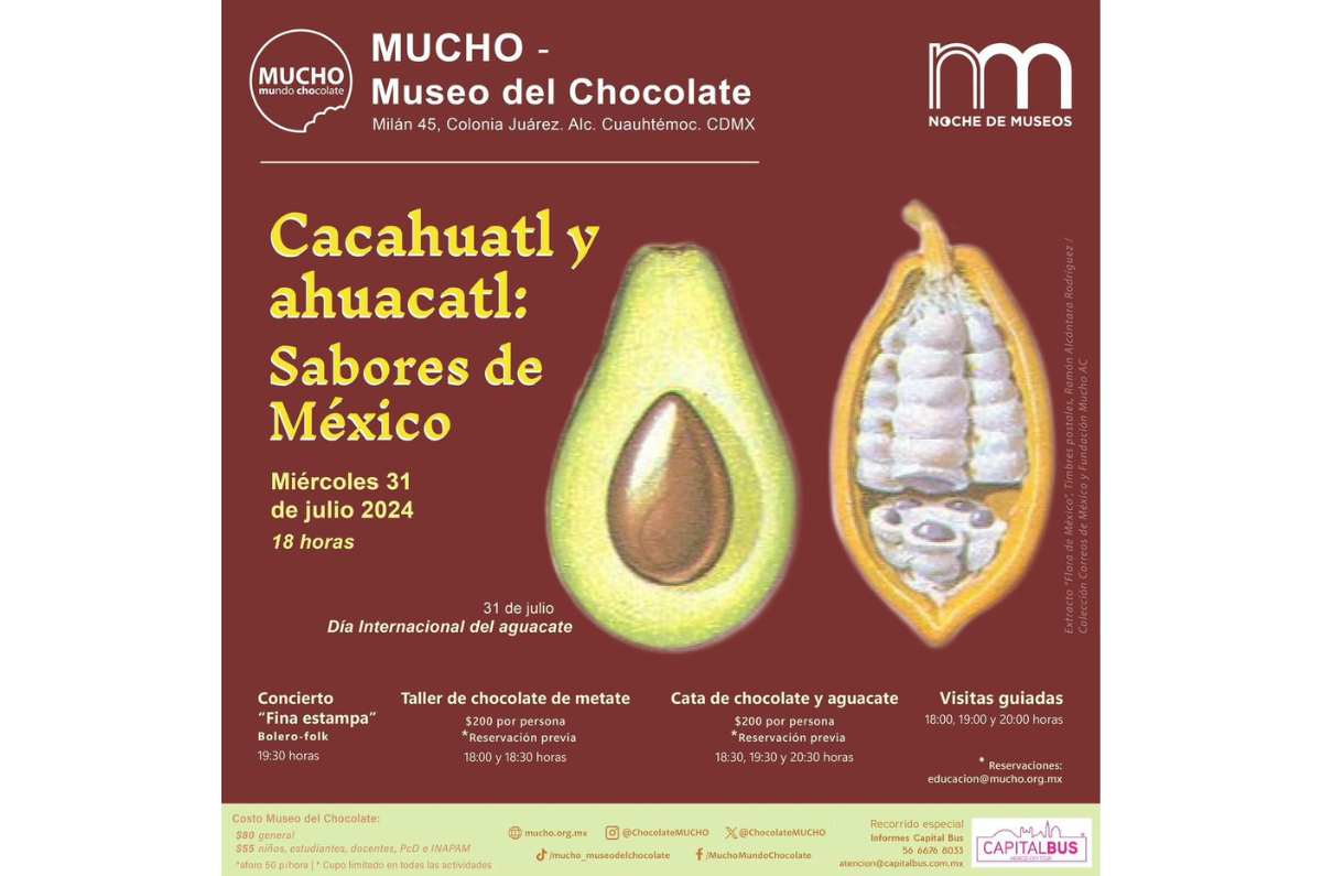 Cata de chocolate y aguacate en el Museo del Chocolate