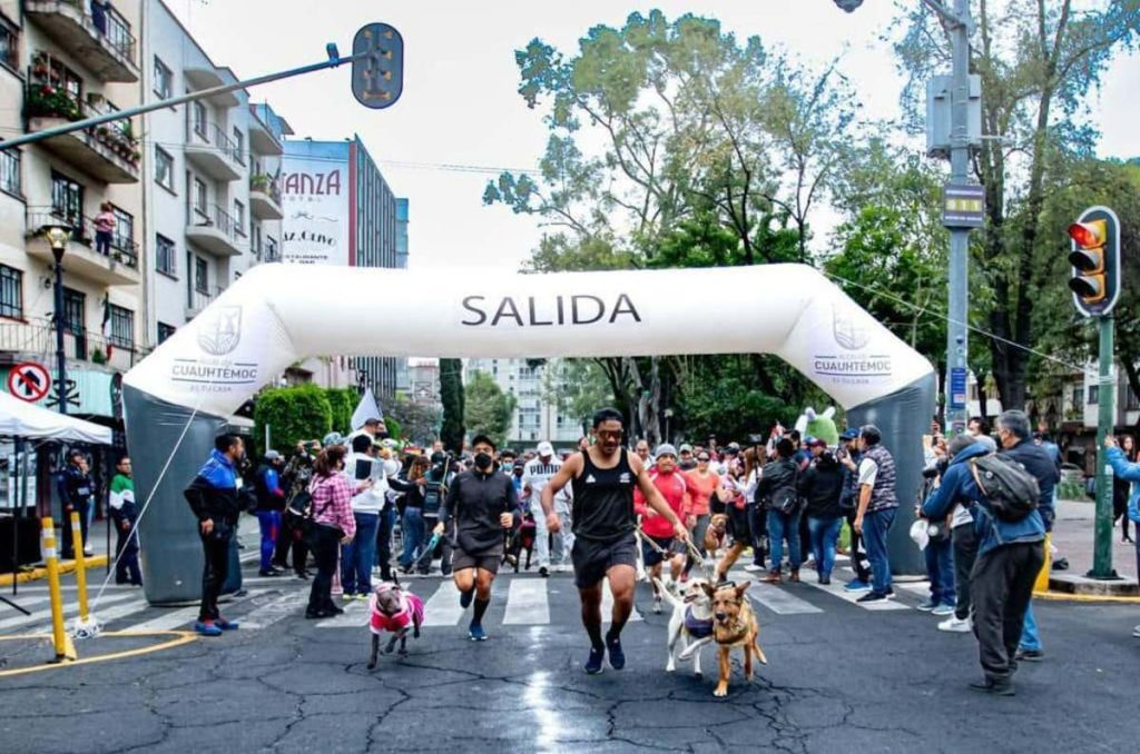 Carrera Perritos en Fuga 2024 en CDMX