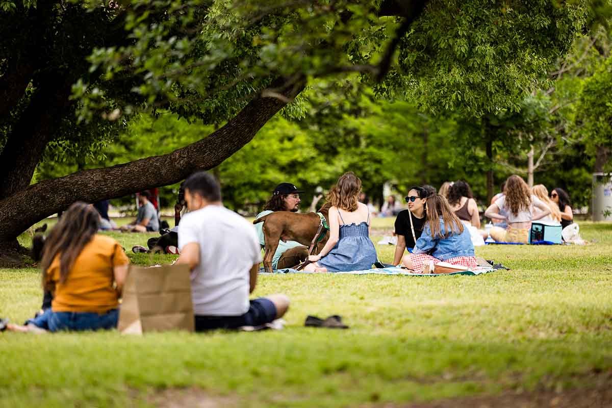 the-menil-collection-10