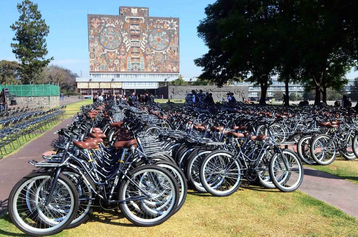 Foto: UNAM 