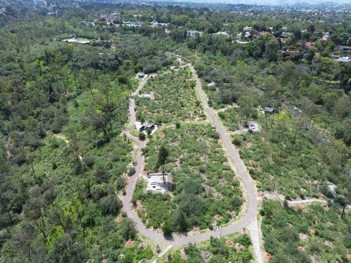 Fotos: Secretaría del Medio Ambiente de CDMX