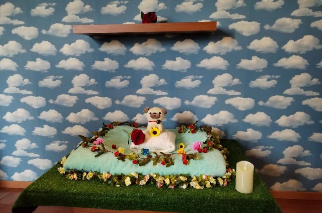 Bye Bye Friend ofrece un acompañamiento y ritual para despedirnos de nuestra mejor compañía, las mascotas.