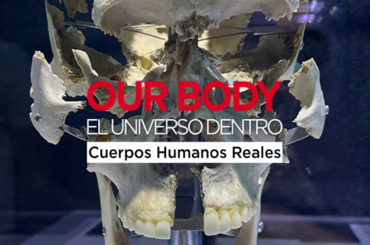 Sumérgete en la maravilla del cuerpo humano con Our Body: El Universo Dentro