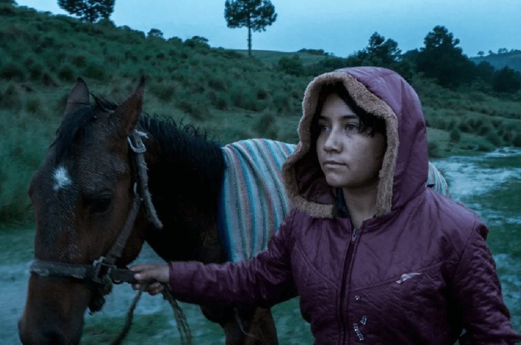 El Eco, de Tatiana Huezo: reseña y función gratis por la UNESCO