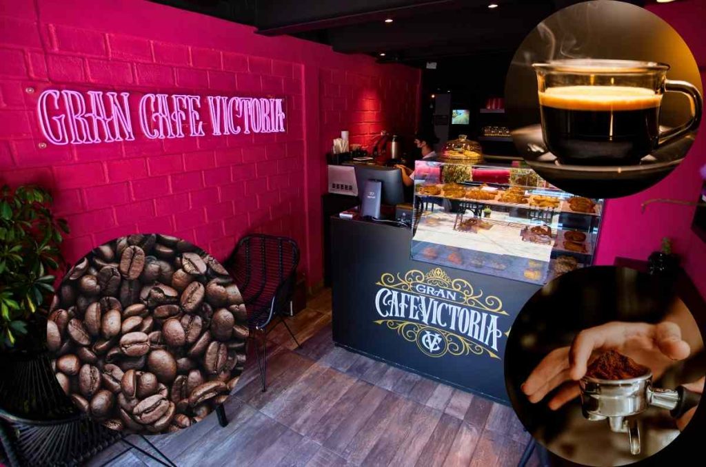 Por el Día Internacional del Café darán café GRATIS en este lugar