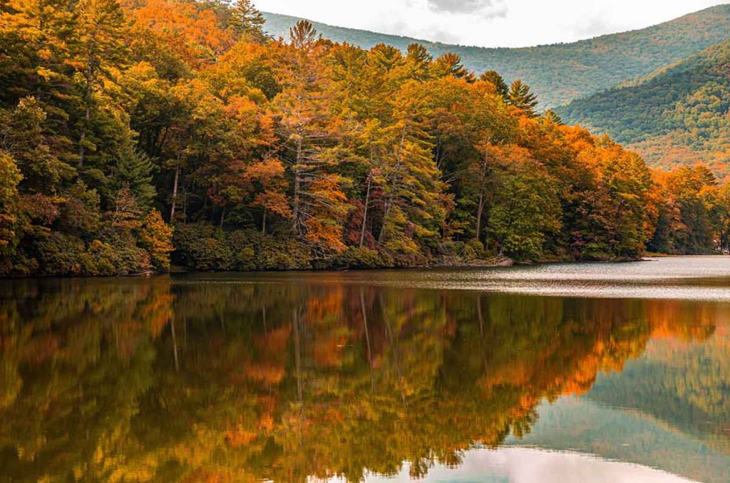¡All aboard! 6 rutas en tren para un otoño inolvidable en Estados Unidos