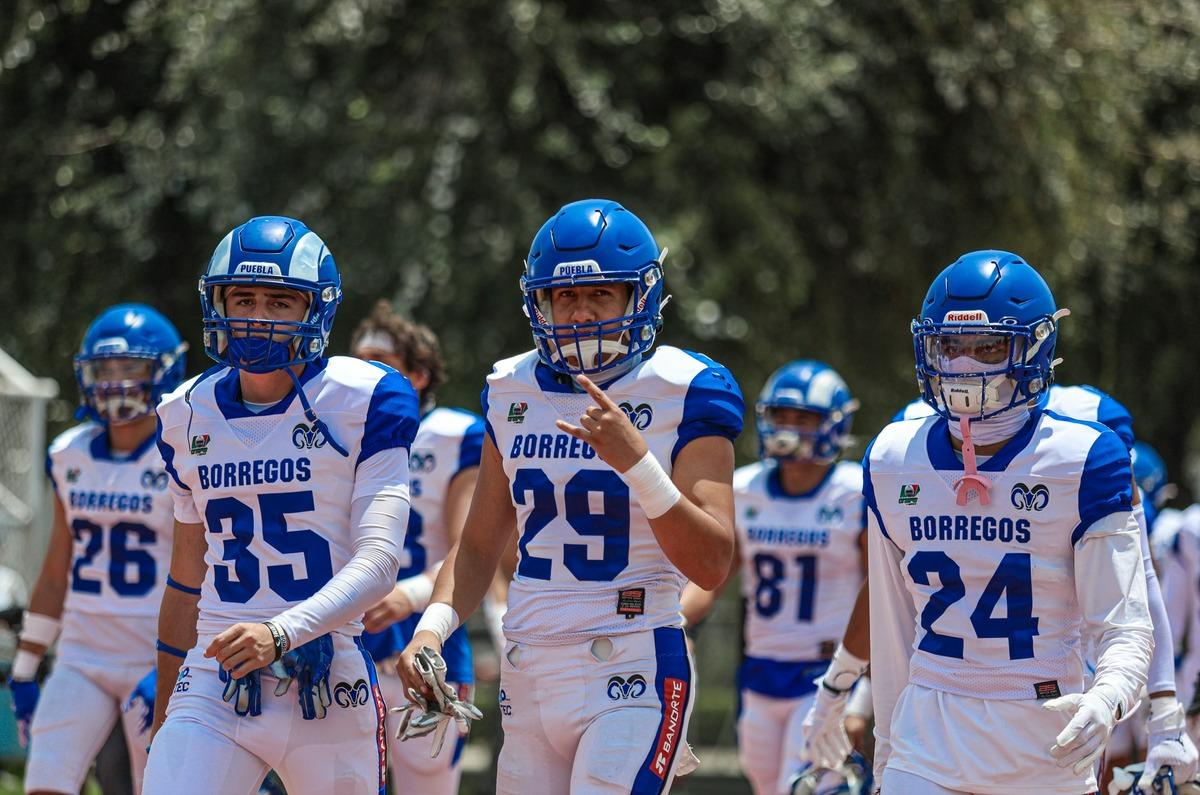 Borregos Puebla. Foto: @soymandoro