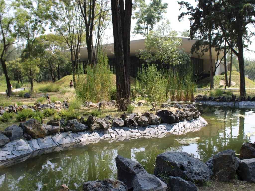 Lago de Fito depuración en el jardín escénico