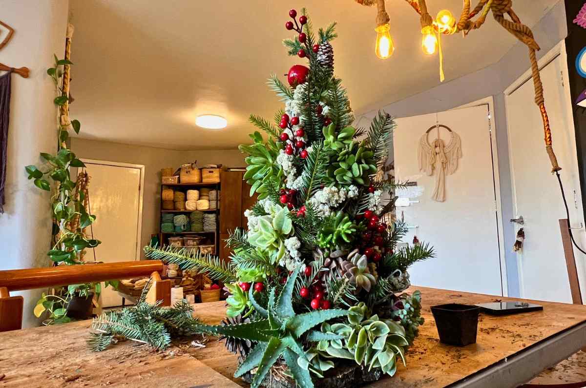 brunch-and-plants-arbol-de-navidad