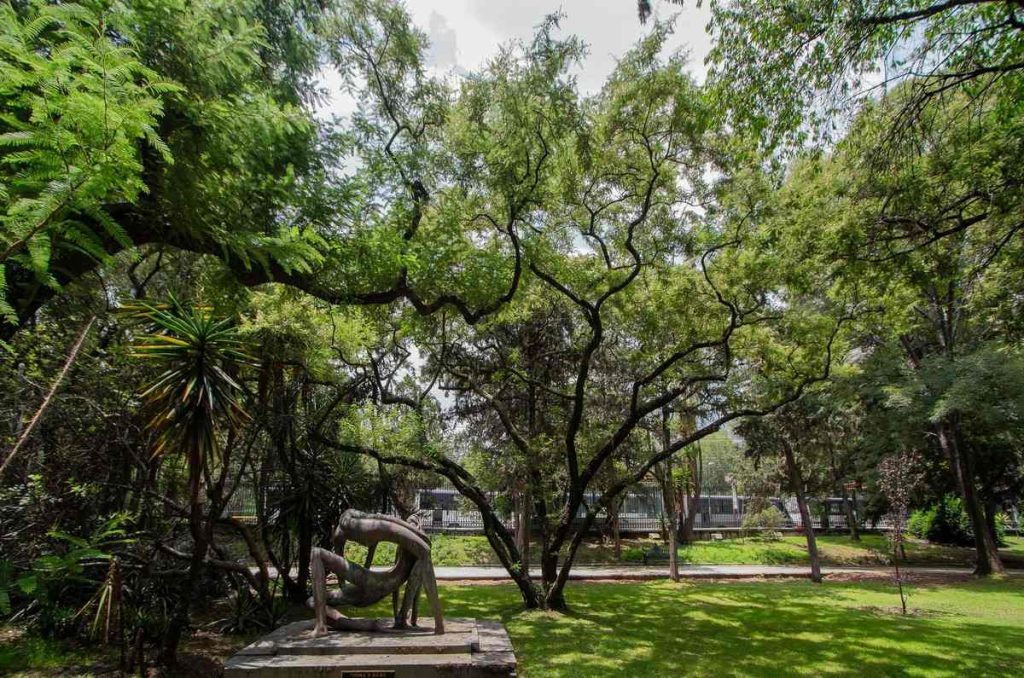 Caminata sonora en el Bosque de Chapultepec