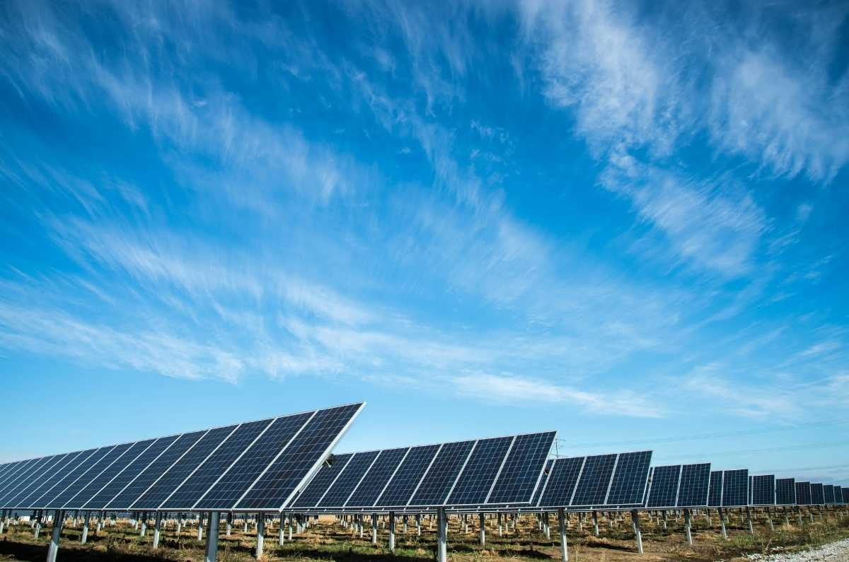 cfe-regala-paneles-solares-aqui-la-respuesta