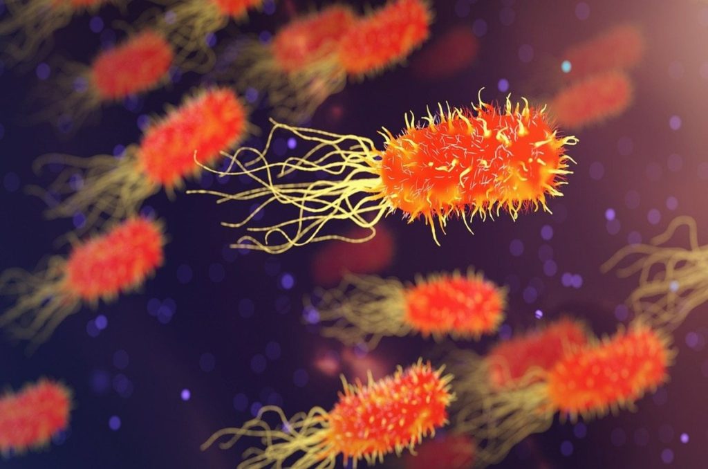 ¡Ay no! Emiten alerta epidemiológica en México por bacteria Klebsiella oxytoca