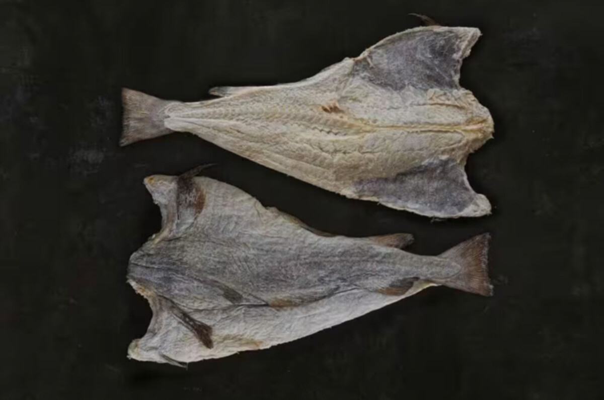El bacalao, un manjar nutritivo y festivo
