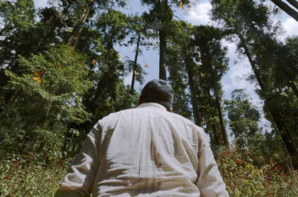 Las mejores películas y series mexicanas del 2024: Estado de Silencio, El Eco y más… 9
