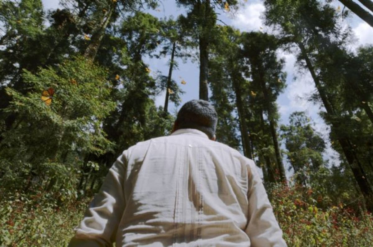 el-guardian-de-las-monarcas-netflix