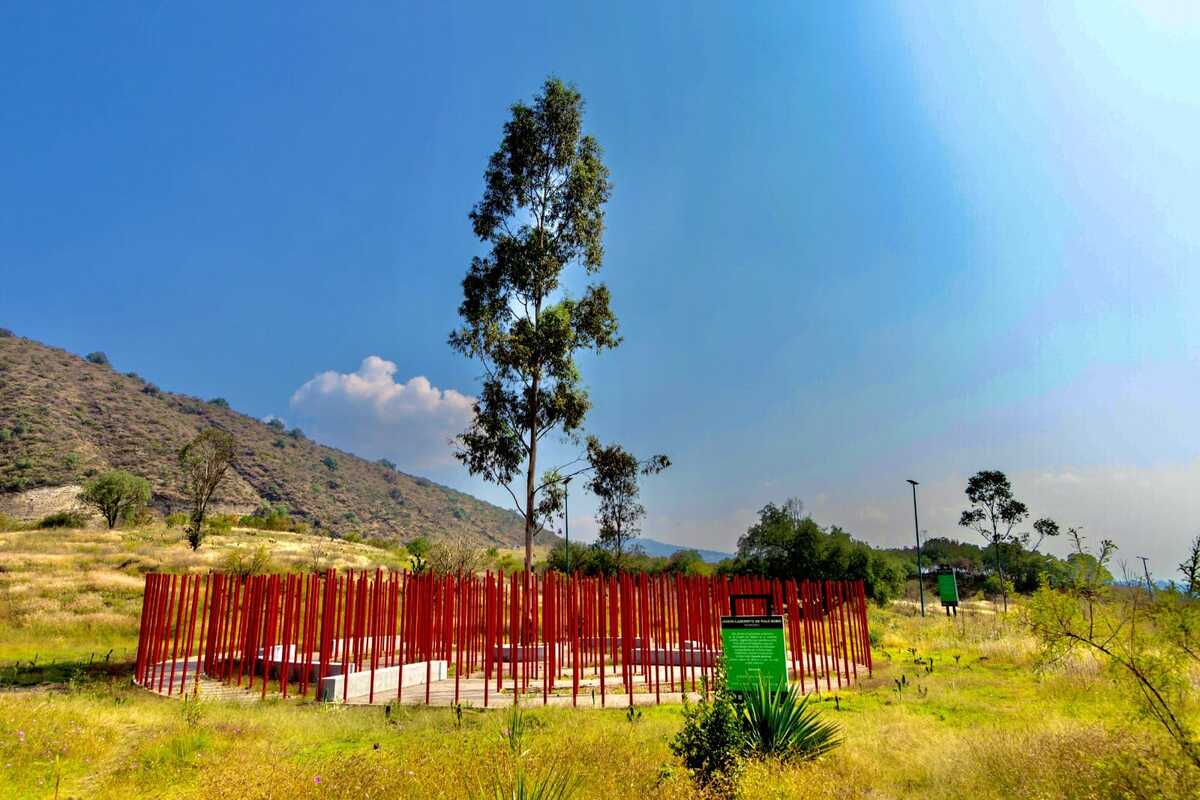 Gimnasios gratis en CDMX