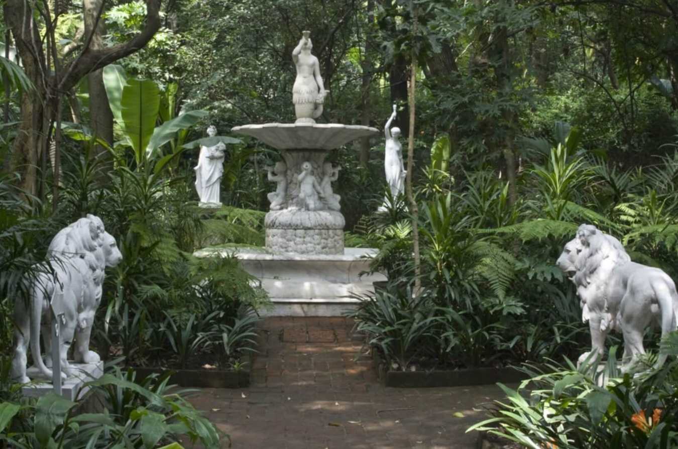 museos-cdmx-que-visitar-este-2025