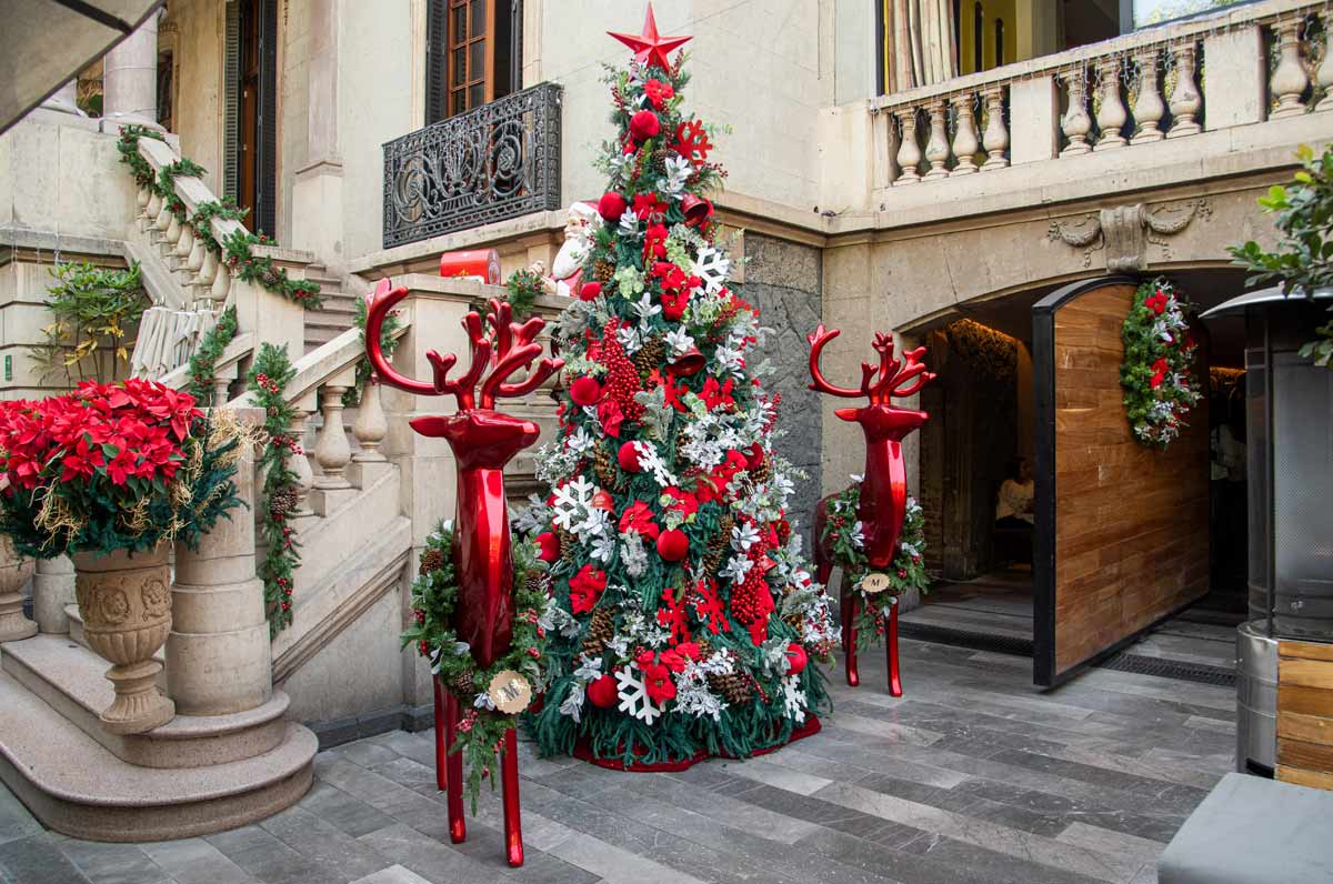 navidad-en-madre-cafe-esta-navidad-vive-la-magia-con-cerveza-modelo-en-cdmx-y-alrededores