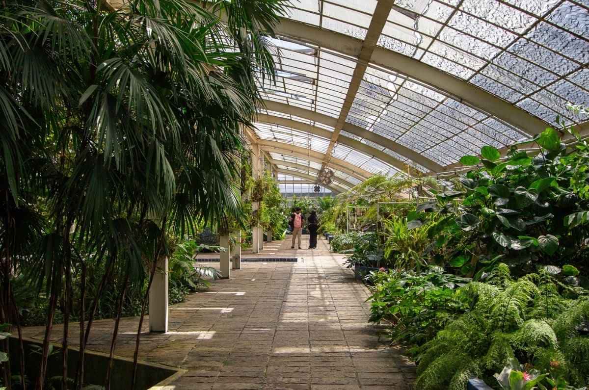 jardin-botanico-de-chapultepec-5
