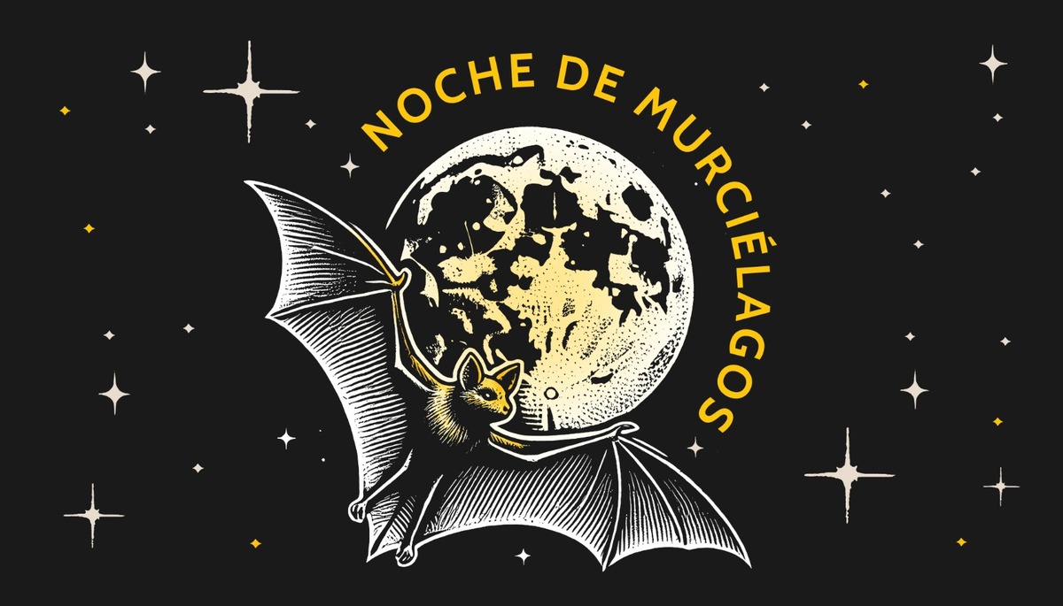 Habrá noche de murciélagos en CDMX: fechas, costos y más 0