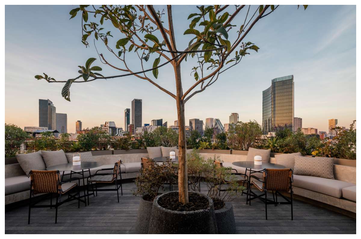 onto-sala-rooftop