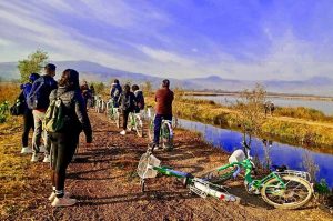 Descubre Xochimilco a través a la Ruta del Ajolote; un paseo ciclista natural