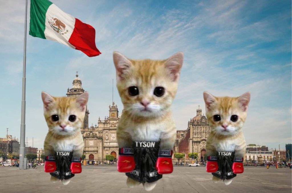 Clase masiva de box a nivel nacional ¡Será la más grande del mundo!
