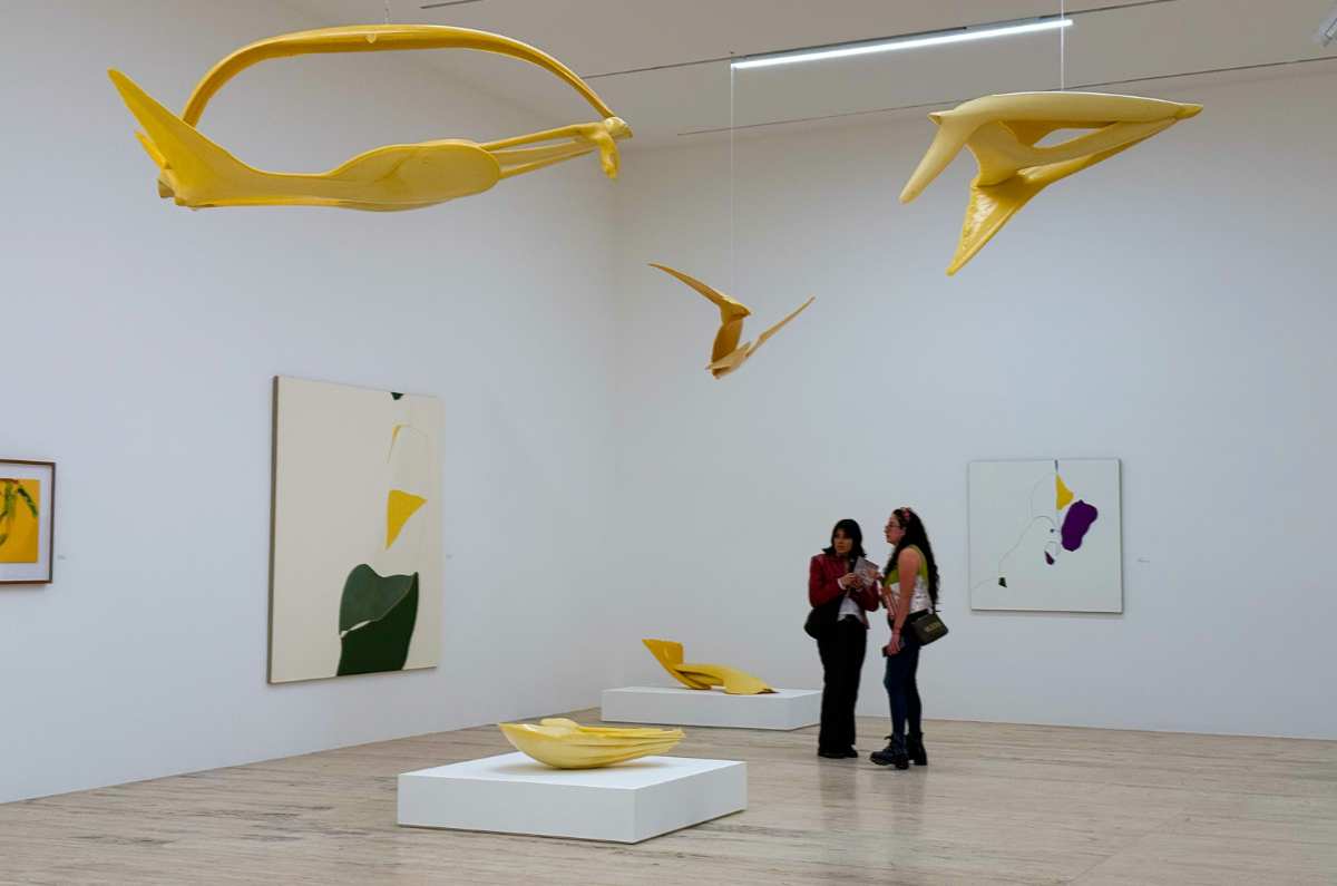 exposiciones-gratis-de-semana-del-arte-2025-cdmx-2