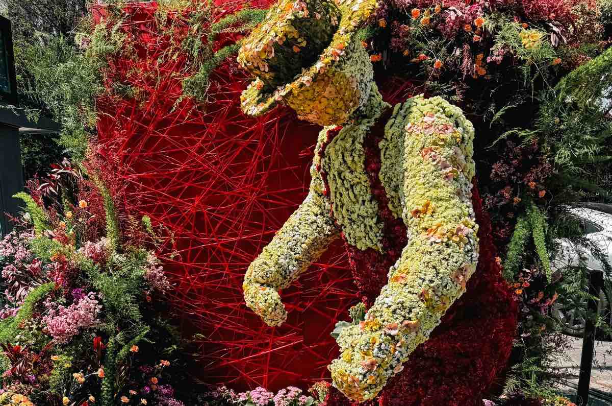 costena-festival-flores-jardines – 1