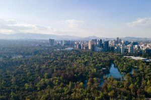 Así será el Festival del Bosque de Chapultepec 2025: su temática será el Reino Fungi
