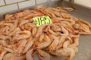 Mercados ideales para comprar mariscos frescos y baratos en CDMX