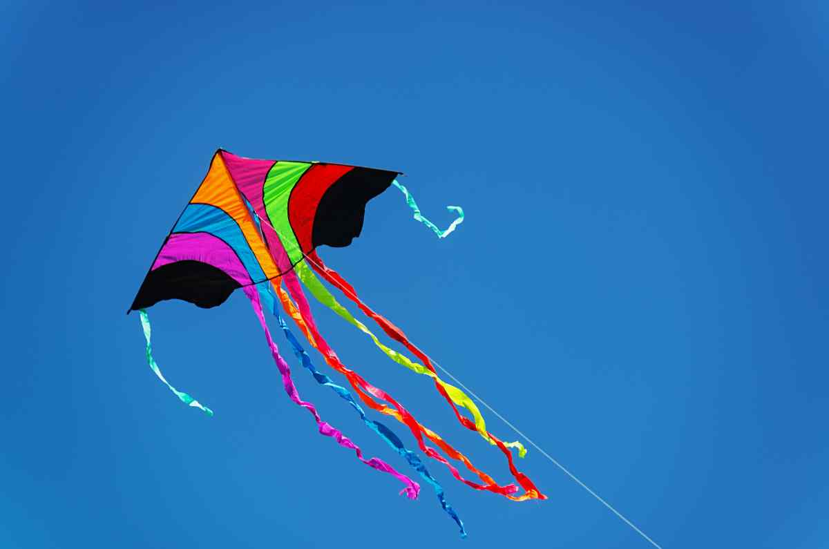 10. Exposición de papalotes