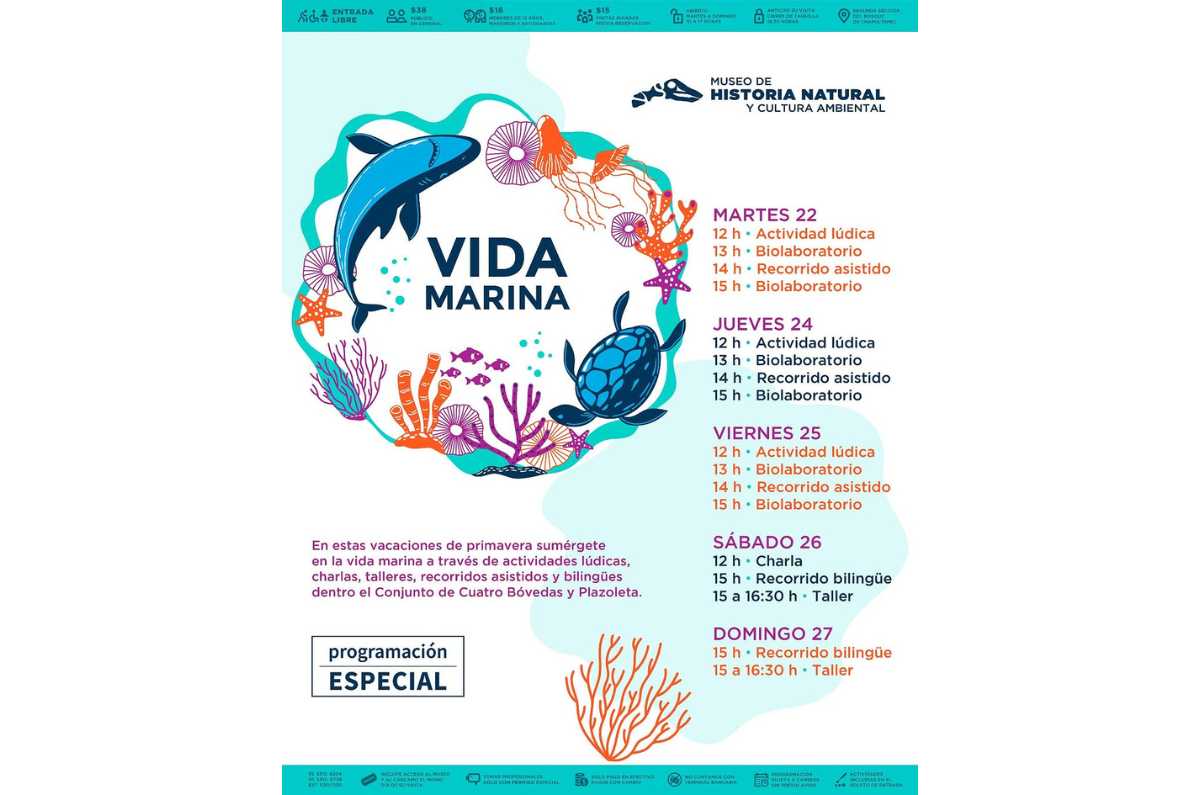 aventura-submarina-1