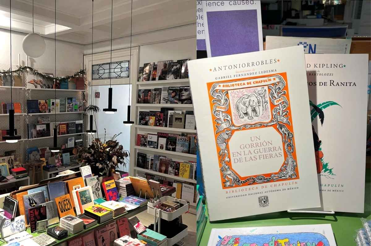 casa-bosques-libreria