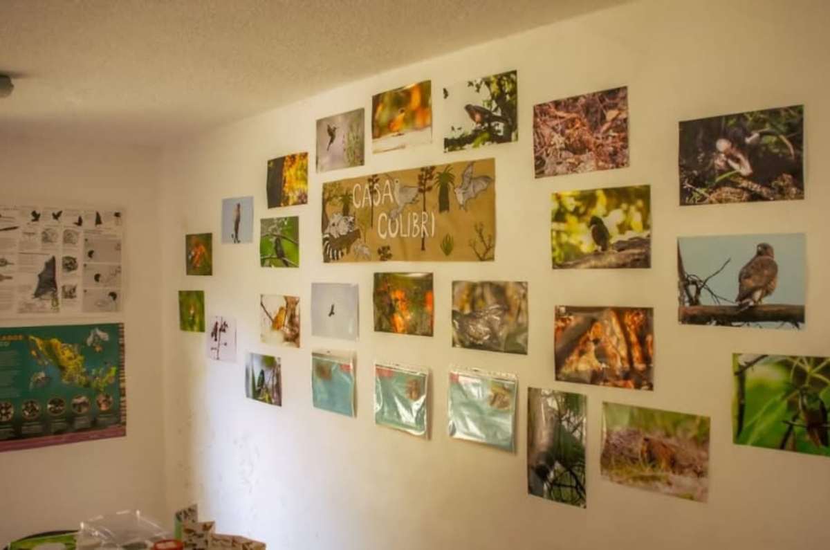 casa-colibri–1