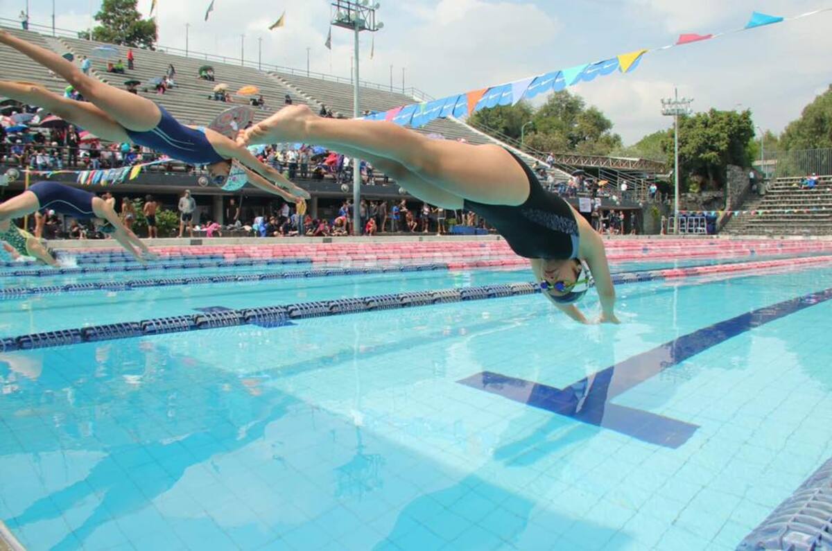Cursos de natación y clavados en la UNAM