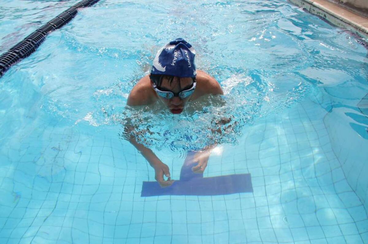 Cursos de natación y clavados en la UNAM