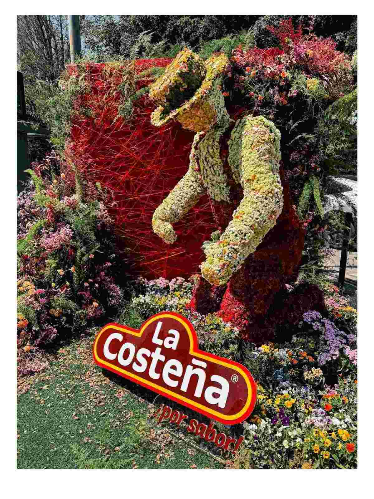 instalacion-raices-la-costena-fyja2025