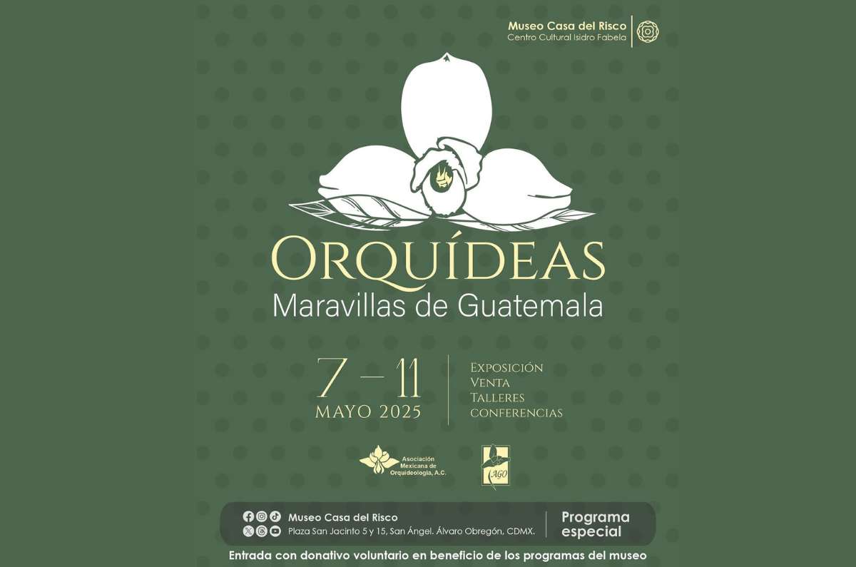 orquideas