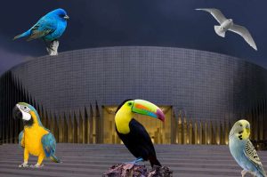 Celebra el Día Internacional de las Aves con tu escuela en el Pabellón de la Biodiversidad