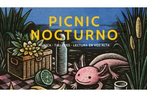 Picnic nocturno en Xochimilco: un plan mágico entre naturaleza y cultura