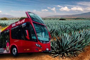 Tour del Mezcal en Puebla 2025: una experiencia con Turibus