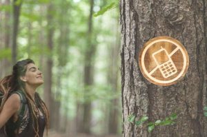 24 horas de desconexión en Chapultepec: recorrido sensorial y detox digital